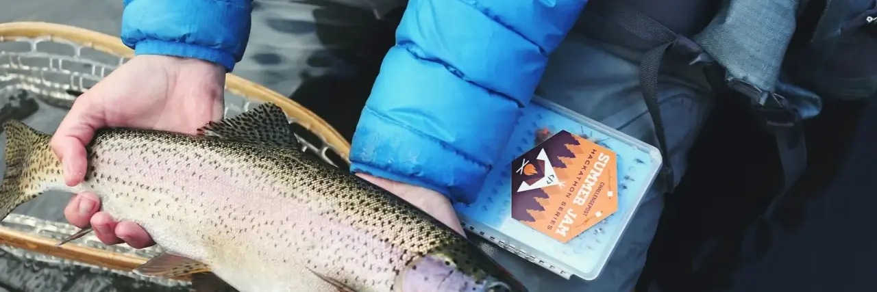 Abfischen