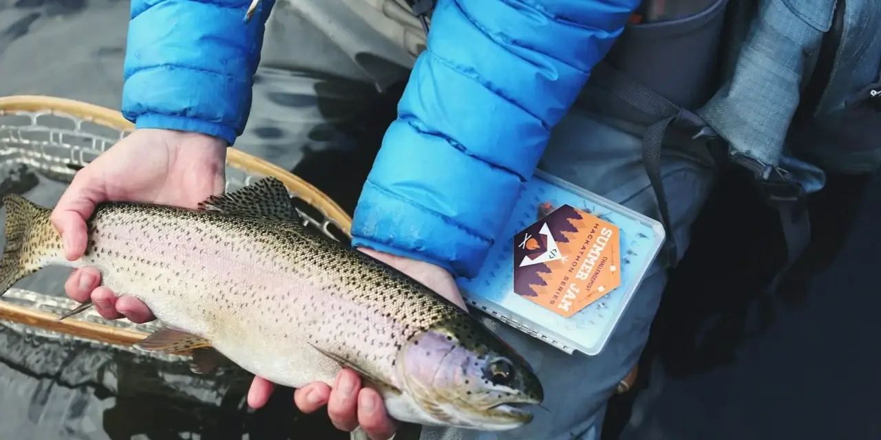 Abfischen