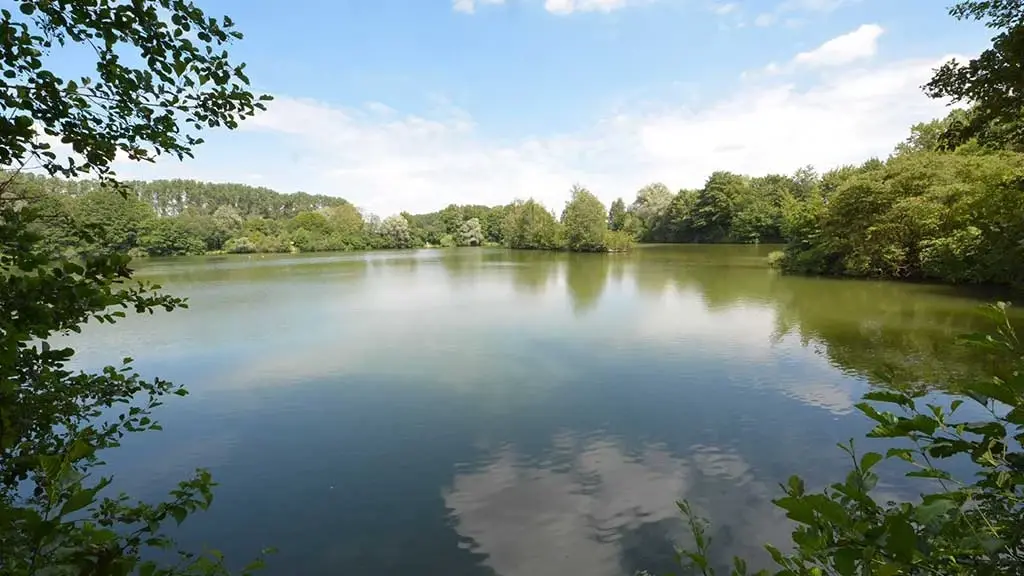 Haugsee