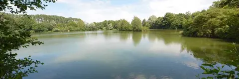 Haugsee