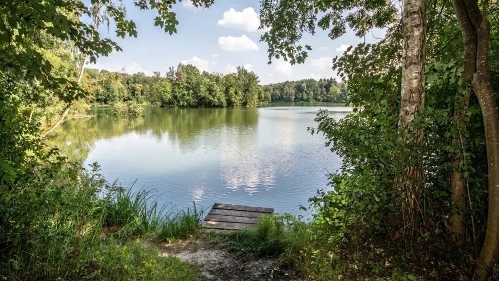 Waldsee