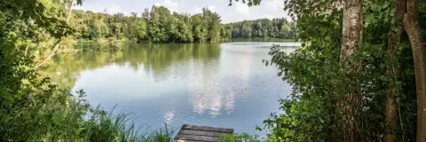 Waldsee