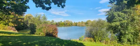 Fischersee